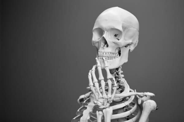 osteo-probiotics Osteoporosis